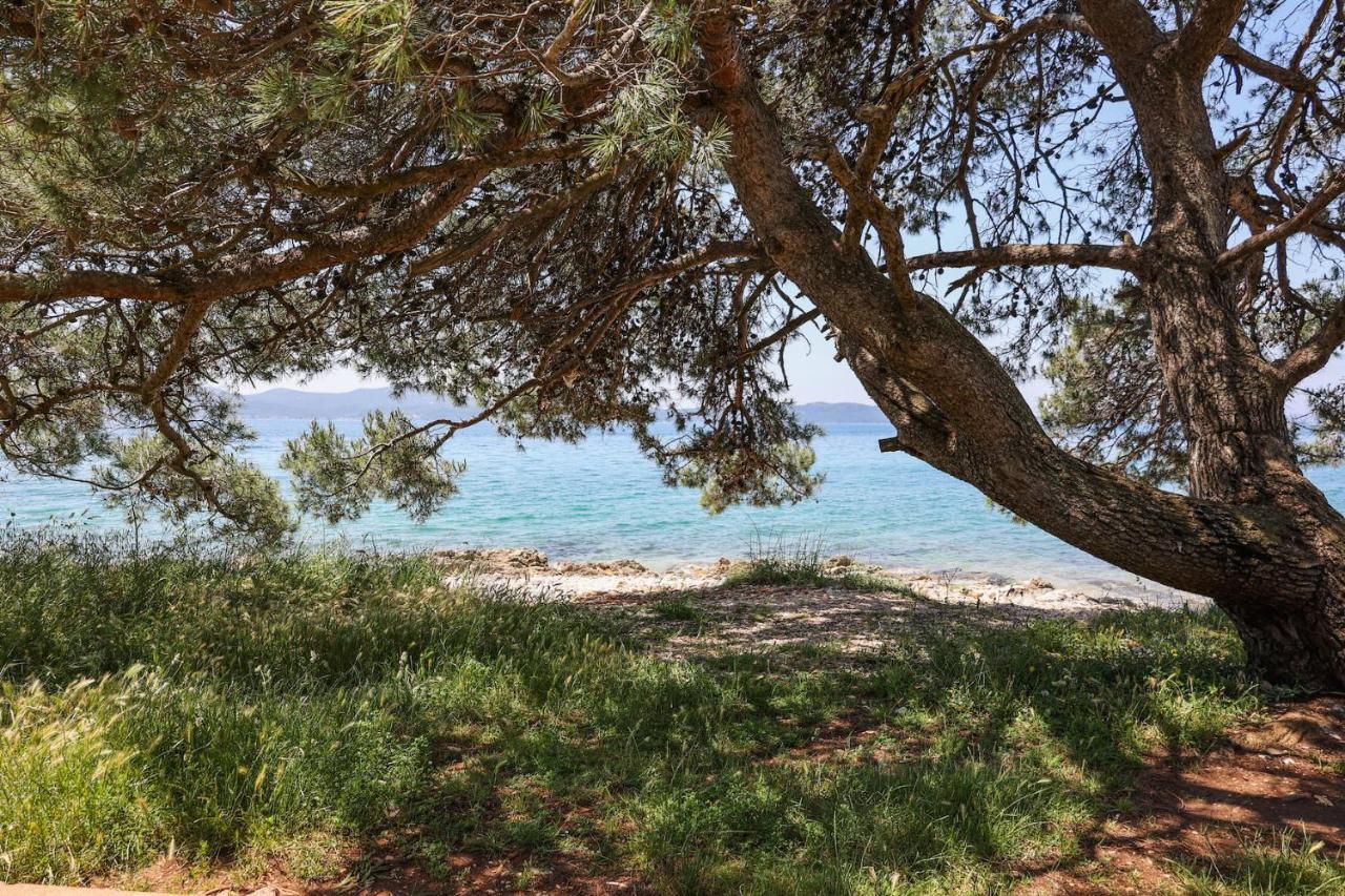 Hi Hostel Zadar Exteriér fotografie